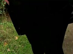 Esposa tetona con el pelo muy pintado mamadas xx hace una mamada increíble cuando los padres están fuera